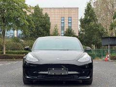 Tesla Model 3 Standard Range RWD Upgrade 3D6 - photo 2