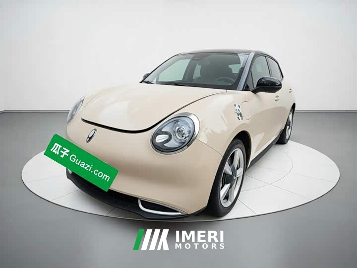 ORA Good Cat 401km Standard Range Deluxe LFP