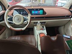 ORA Good Cat 401km Standard Range Deluxe LFP - ფოტო 10