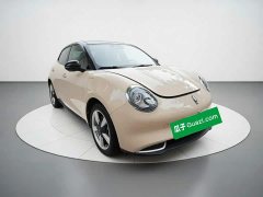 ORA Good Cat 401km Standard Range Deluxe LFP - ფოტო 3