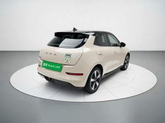 ORA Good Cat 401km Standard Range Deluxe LFP - ფოტო 6