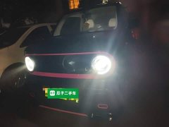 Geely Panda 210km Panda Kart - ფოტო 1