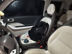 Geely Panda 210km Panda Kart - ფოტო 11