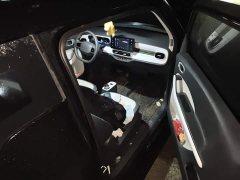 Geely Panda 210km Panda Kart - ფოტო 19