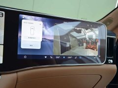 Stelato Zun S800 2025 Extended Range Starlight Premium Edition 5-Seater (192-line LiDAR) - ფოტო 10