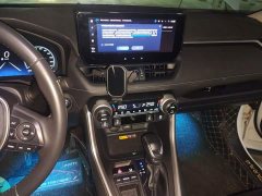 Toyota RAV4 2.0L CVT FWD 20th Anniversary Platinum Edition - ფოტო 14