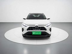 Toyota RAV4 2.0L CVT FWD 20th Anniversary Platinum Edition - ფოტო 2