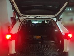 Toyota RAV4 2.0L CVT FWD 20th Anniversary Platinum Edition - ფოტო 20