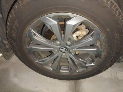 Toyota RAV4 2.0L CVT FWD 20th Anniversary Platinum Edition - ფოტო 8