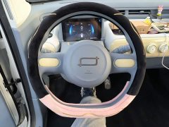 FAW Besturn Xiaoma 222km Dynamic Edition - ფოტო 11