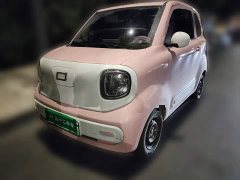 FAW Besturn Xiaoma 222km Cute Horse - photo 1