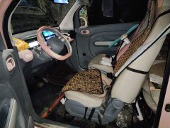 FAW Besturn Xiaoma 222km Cute Horse - photo 11