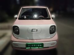 FAW Besturn Xiaoma 222km Cute Horse - photo 2