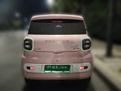 FAW Besturn Xiaoma 222km Cute Horse - photo 3
