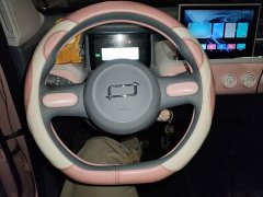 FAW Besturn Xiaoma 222km Cute Horse - photo 6