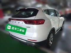 Haval H6 National Trend 1.5T Automatic Champion Edition - ფოტო 4