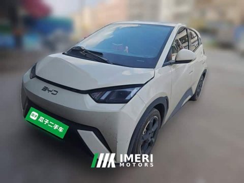 2023 BYD Seagull Freedom Edition - ავტომობილი ჩინეთიდან