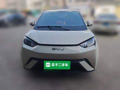 BYD Seagull Freedom Edition - ფოტო 2