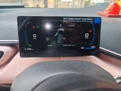 BYD Seagull Freedom Edition - ფოტო 7