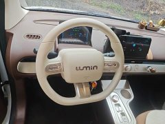 Changan Lumin Treasure Edition 205km Cool Love White CATL - ფოტო 11