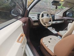 Changan Lumin Treasure Edition 205km Cool Love White CATL - ფოტო 17