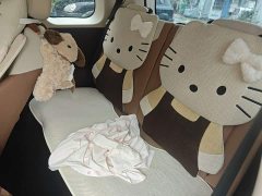 Changan Lumin Treasure Edition 205km Cool Love White CATL - ფოტო 18