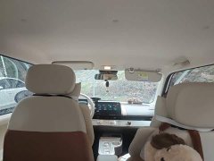 Changan Lumin Treasure Edition 205km Cool Love White CATL - ფოტო 19