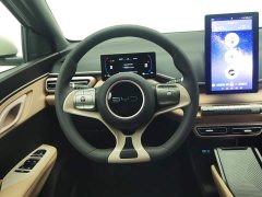 BYD Seagull 305km Vitality Edition - ფოტო 11