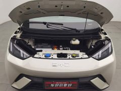 BYD Seagull 305km Vitality Edition - ფოტო 6