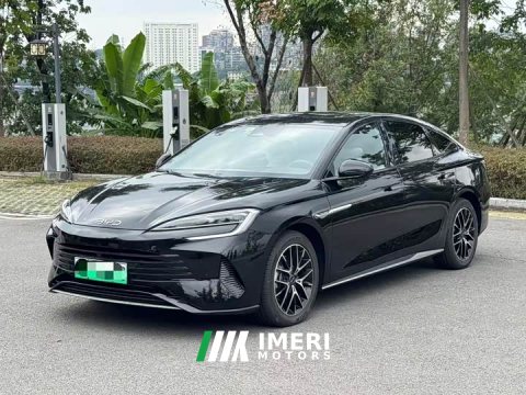 2023 BYD Dolphin DM-i 1.5T 121km Premier - ავტომობილი ჩინეთიდან