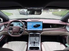 BYD Dolphin DM-i 1.5T 121km Premier - ფოტო 9