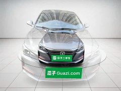 Changan Raize CC Blue Whale 1.5T DCT Luxury - ფოტო 2