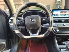 Changan Raize CC Blue Whale 1.5T DCT Luxury - ფოტო 6