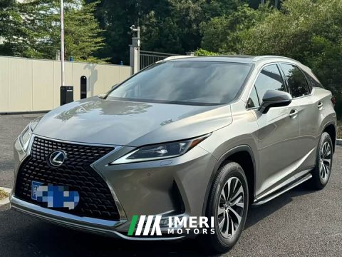 2022 Lexus RX 2020 300 FWD Elite China VI - ავტომობილი ჩინეთიდან