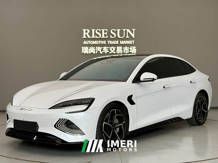 BYD Dolphin Champion Edition 700km Performance Version - car from China