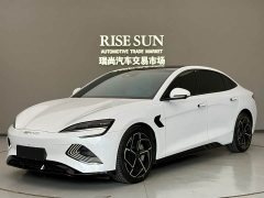 BYD Dolphin Champion Edition 700km Performance Version - photo 1