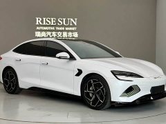 BYD Dolphin Champion Edition 700km Performance Version - photo 3