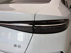 BYD Dolphin Champion Edition 700km Performance Version - photo 7