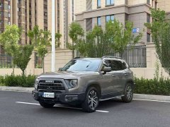 Great Wall Dachshund 2022 1.5T DCT Two-Wheel Drive Malinois Hunting Edition - ფოტო 1