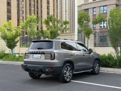 Great Wall Dachshund 2022 1.5T DCT Two-Wheel Drive Malinois Hunting Edition - ფოტო 4