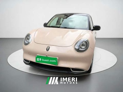 2021 ORA Good Cat 400km Standard Range Venus Edition LFP Battery - ავტომობილი ჩინეთიდან