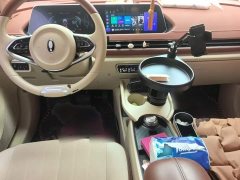 ORA Good Cat 400km Standard Range Venus Edition LFP Battery - ფოტო 10