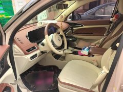 ORA Good Cat 400km Standard Range Venus Edition LFP Battery - ფოტო 16