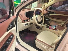 ORA Good Cat 400km Standard Range Venus Edition LFP Battery - ფოტო 17