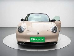 ORA Good Cat 400km Standard Range Venus Edition LFP Battery - ფოტო 2