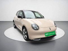 ORA Good Cat 400km Standard Range Venus Edition LFP Battery - ფოტო 3