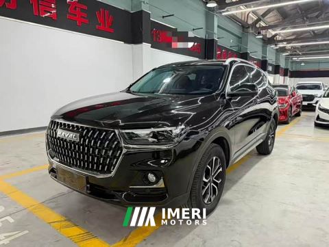 2023 Haval H6 National Trend Edition 1.5T Automatic Urban Version