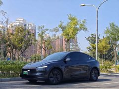 Tesla Model Y Rear-Wheel Drive - photo 1