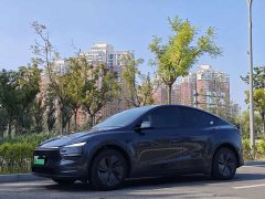 Tesla Model Y Rear-Wheel Drive - photo 2