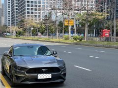 Ford Mustang 2021 2.3T EcoBoost - ფოტო 3